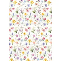 Ciao Bella Flower Shop A4 Vellum Paper Patterns (6pcs) (CBV016)